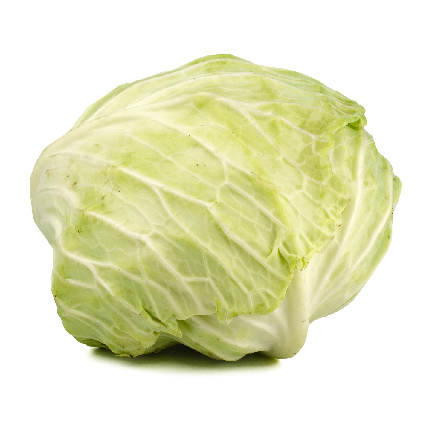 ملفوف أردني (خفيف)