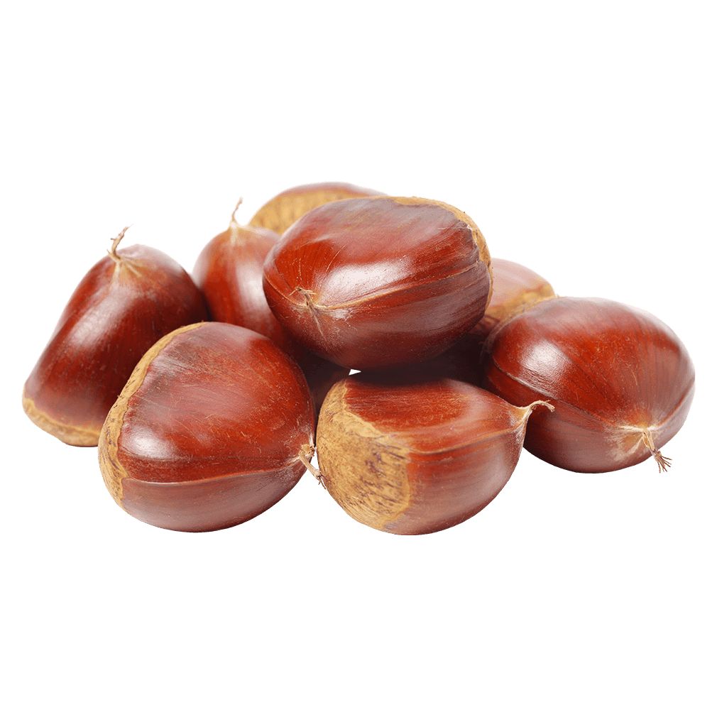 كستنا تركي (سكرية) نخب أول
