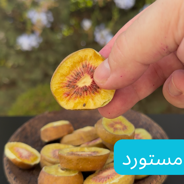 شيبس الكيوي الأحمر ٤٥ غرام