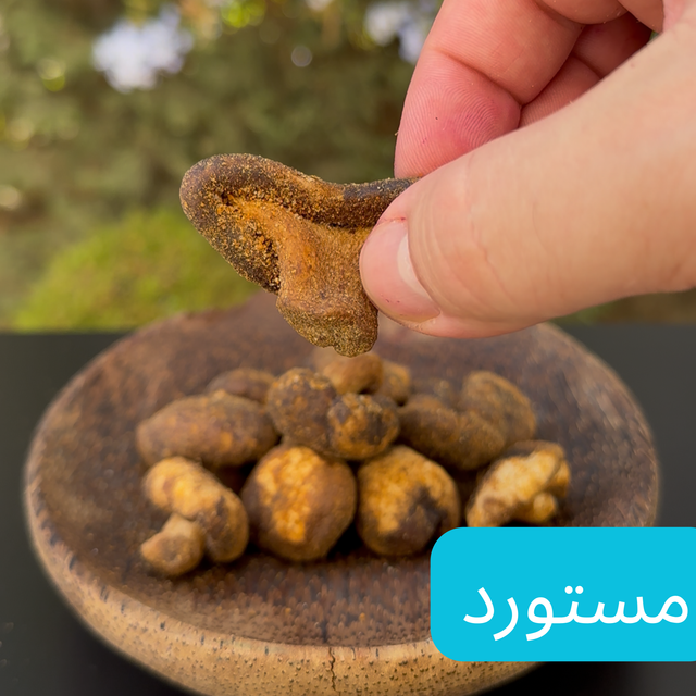 شيبس الفطر بالملح ٥٥ غرام