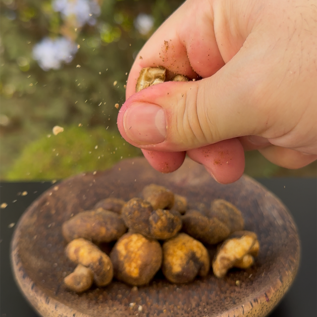 شيبس الفطر بالملح ٥٥ غرام